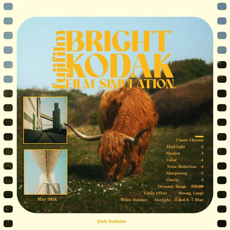 Bright Kodak Film Layout